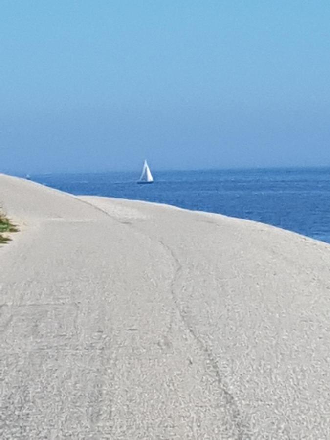 Romantisch Huisje Nabij Het Strand Met Uitzicht Op De Tulpenvelden Julianadorp Eksteriør bilde