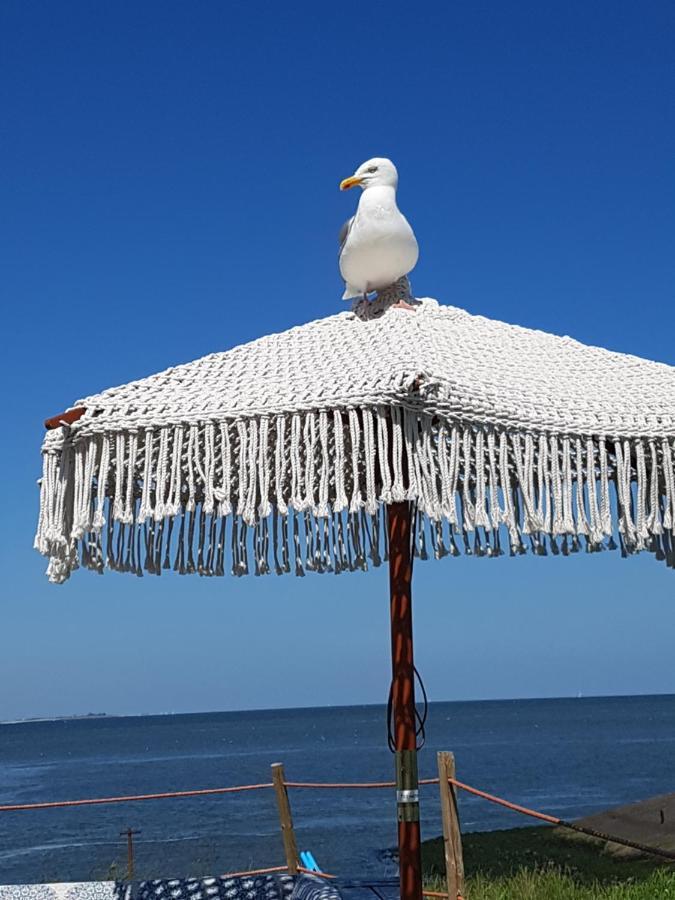 Romantisch Huisje Nabij Het Strand Met Uitzicht Op De Tulpenvelden Julianadorp Eksteriør bilde
