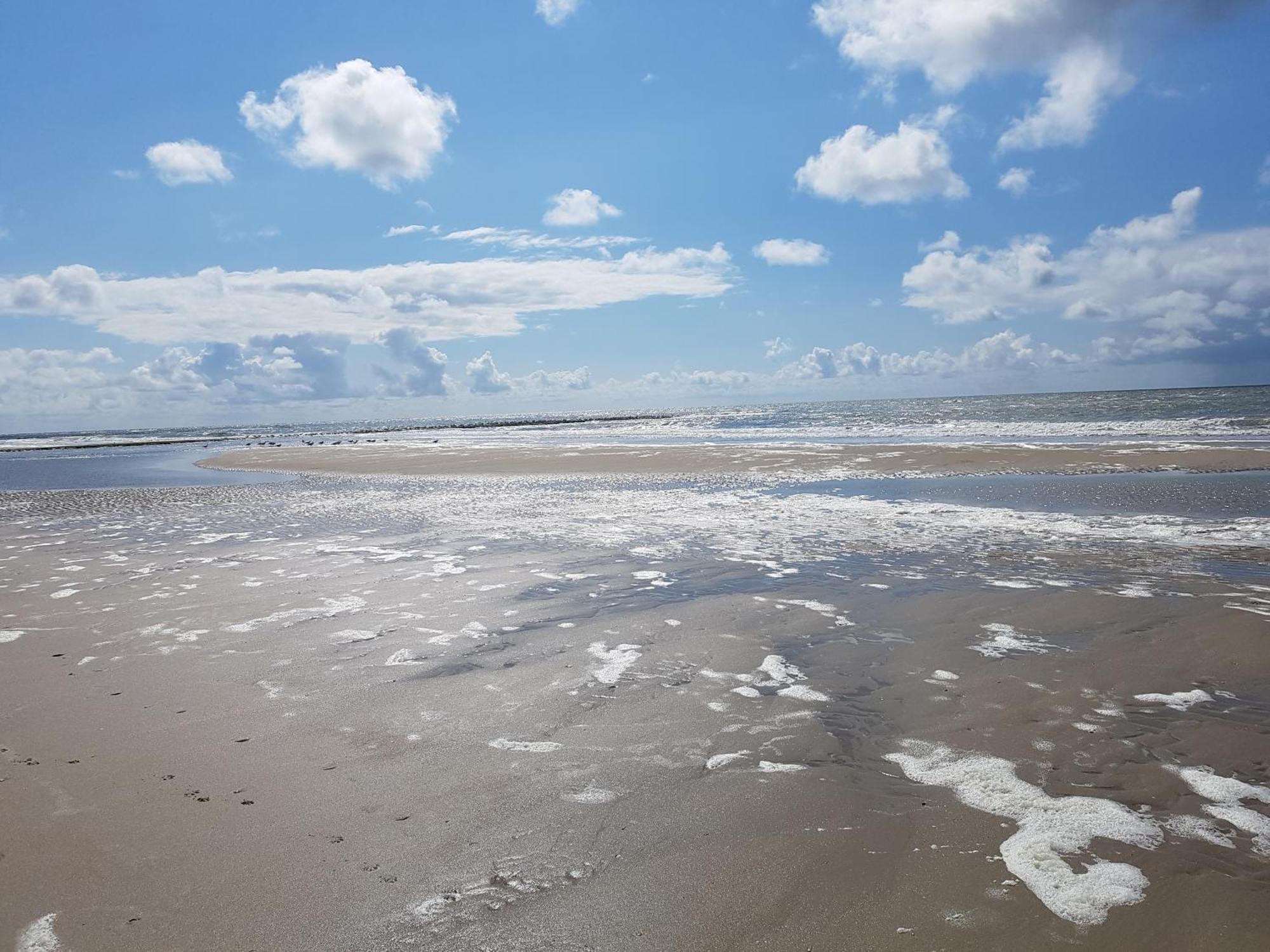 Romantisch Huisje Nabij Het Strand Met Uitzicht Op De Tulpenvelden Julianadorp Eksteriør bilde
