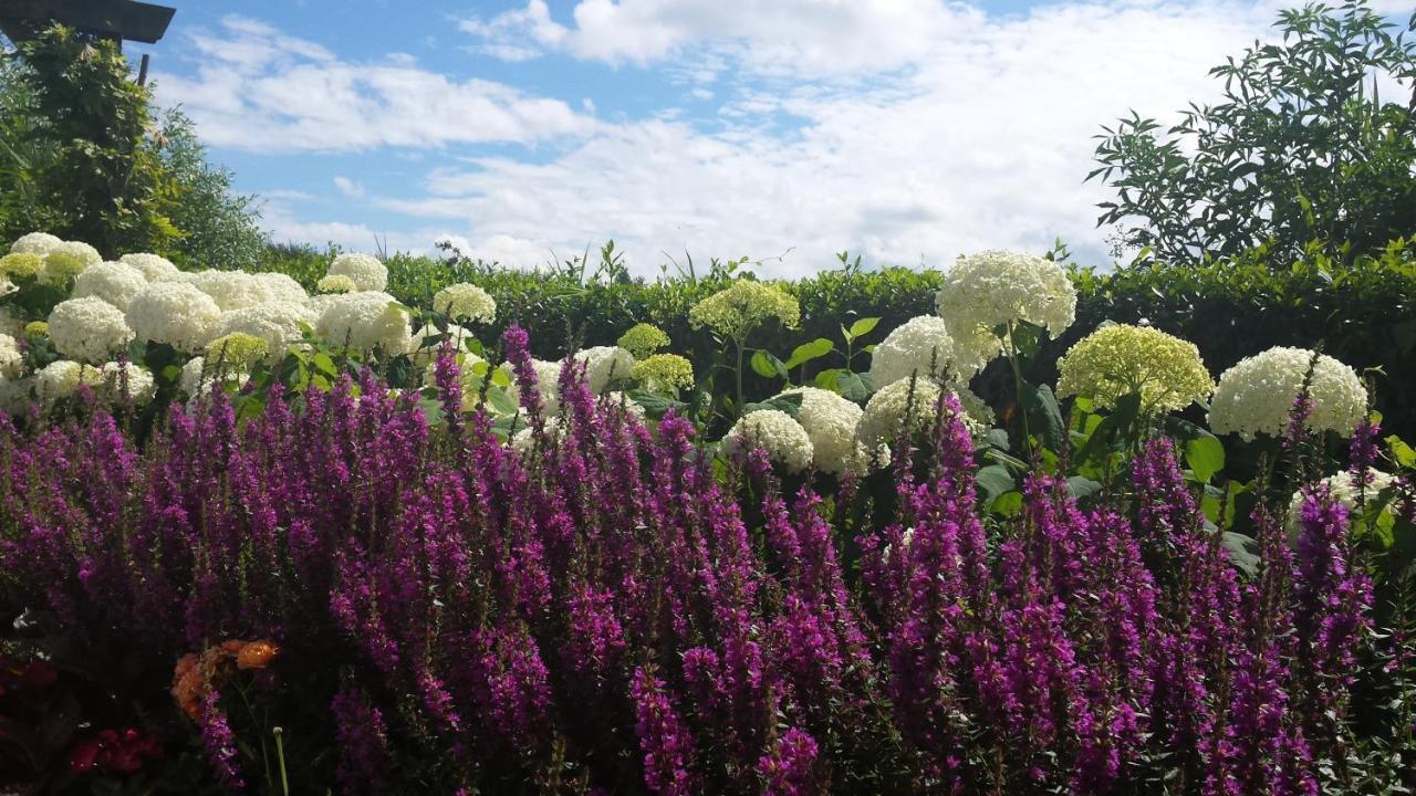 Romantisch Huisje Nabij Het Strand Met Uitzicht Op De Tulpenvelden Julianadorp Eksteriør bilde