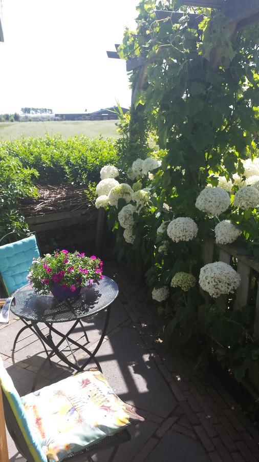 Romantisch Huisje Nabij Het Strand Met Uitzicht Op De Tulpenvelden Julianadorp Eksteriør bilde