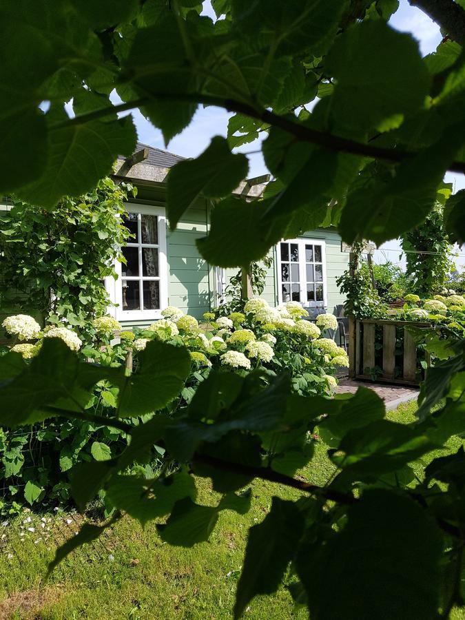 Romantisch Huisje Nabij Het Strand Met Uitzicht Op De Tulpenvelden Julianadorp Eksteriør bilde
